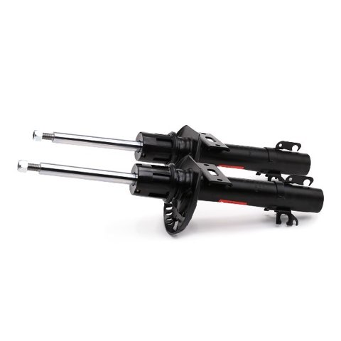 TRW JGM1080T Shock Absorber, photo 2