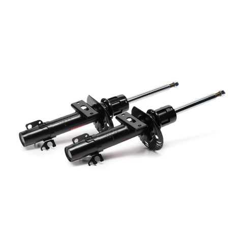 TRW JGM1082T Shock Absorber, photo 2
