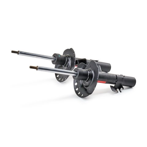 TRW JGM1095T Shock Absorber, photo 2