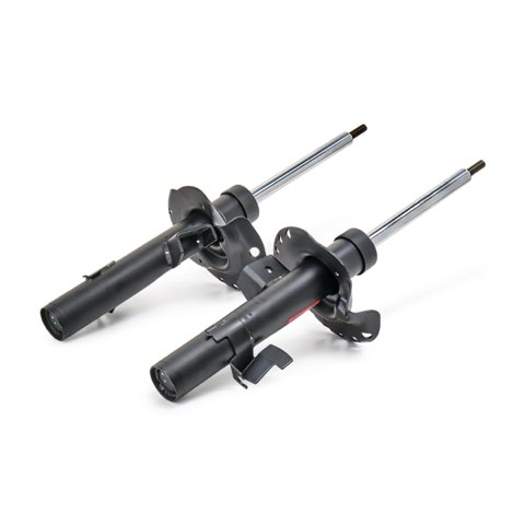 TRW JGM1095T Shock Absorber, photo 3