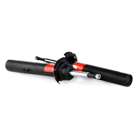 TRW JGM1123T Twin Shock Absorber, photo 2