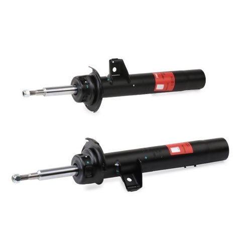 TRW JGM1131T Twin Shock Absorber, photo 3