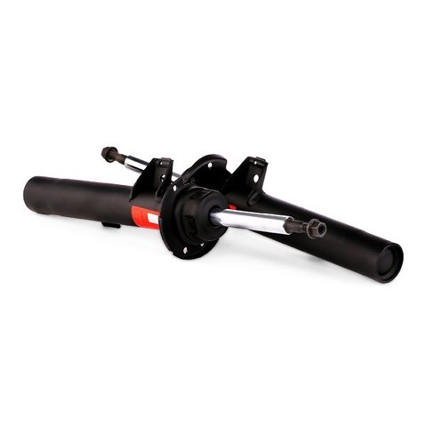 TRW JGM1133T Twin Shock Absorber, photo 2