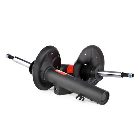 TRW JGM1135T Twin Shock Absorber, photo 2
