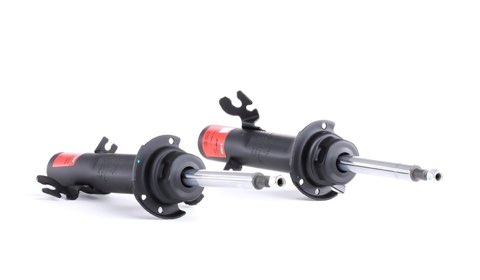 TRW JGM1137T Twin Shock Absorber