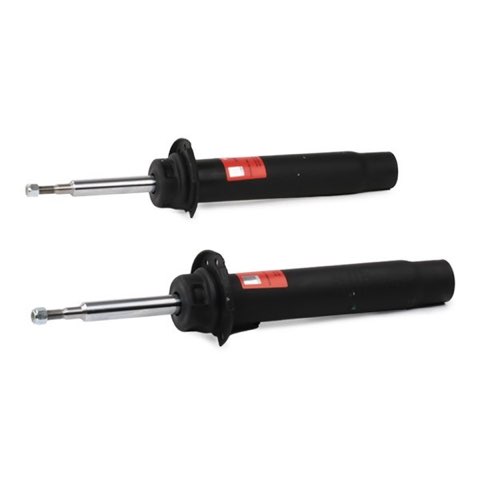 TRW JGM1141T Twin Shock Absorber, photo 3