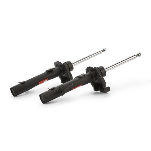 TRW JGM1155T Twin Shock Absorber, photo 3
