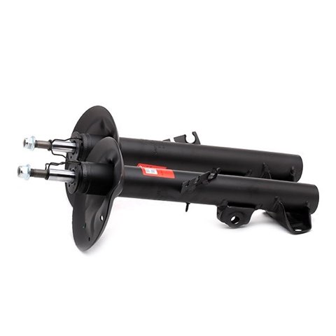 TRW JGM1267T Twin Shock Absorber, photo 2