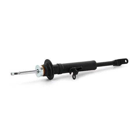 TRW JGM1301SR Shock Absorber, photo 2