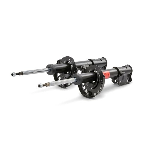 TRW JGM1309T Shock Absorber, photo 2