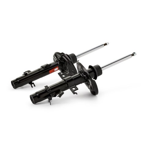 TRW JGM1343T Shock Absorber, photo 3