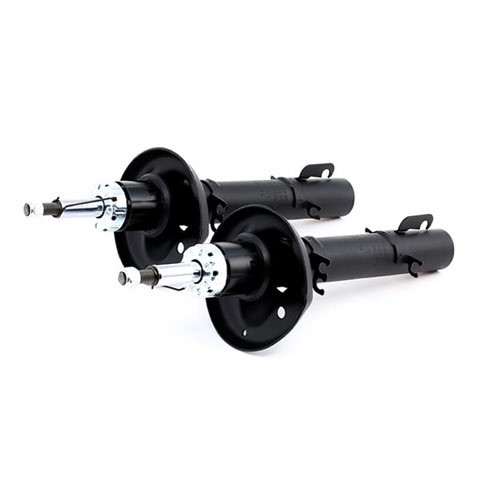 TRW JGM209T Twin Shock Absorber, photo 3