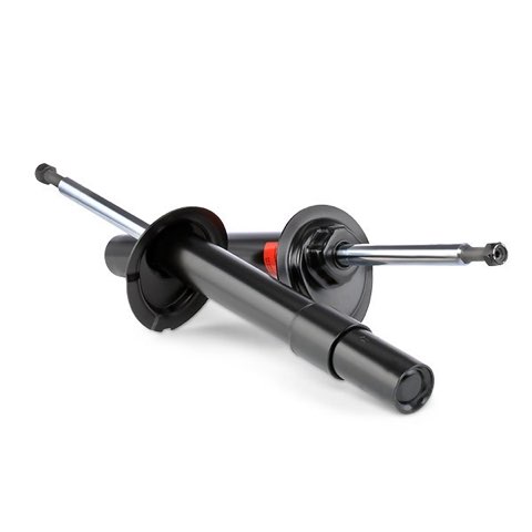 TRW JGM240T Twin Shock Absorber, photo 2