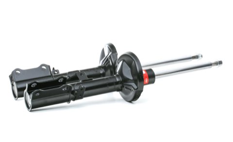 TRW JGM2569T Twin Shock Absorber