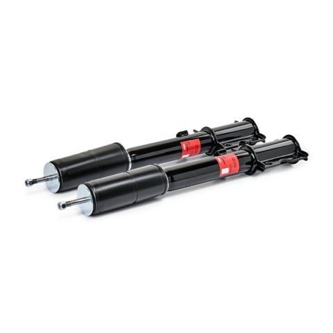 TRW JGM268T Twin Shock Absorber, photo 2