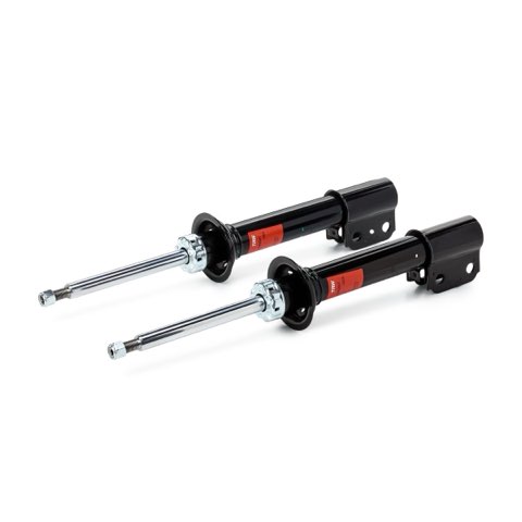 TRW JGM289T Twin Shock Absorber, photo 2