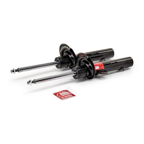 TRW JGM341T Twin Shock Absorber, photo 2