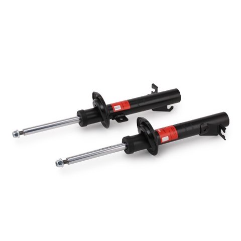 TRW JGM3678T Twin Shock Absorber, photo 3