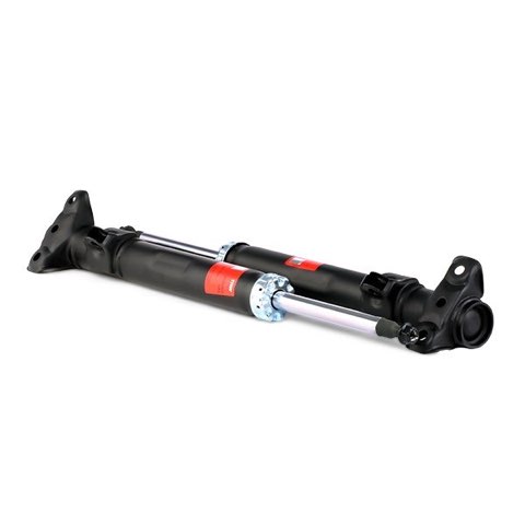 TRW JGM434T Twin Shock Absorber, photo 2