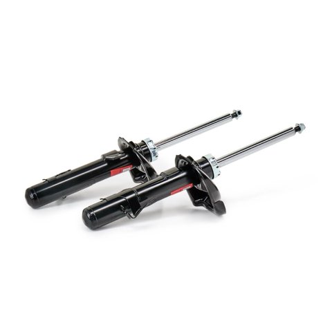 TRW JGM6078T Twin Shock Absorber, photo 3