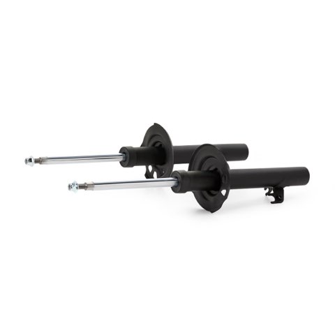 TRW JGM6212T Twin Shock Absorber, photo 2