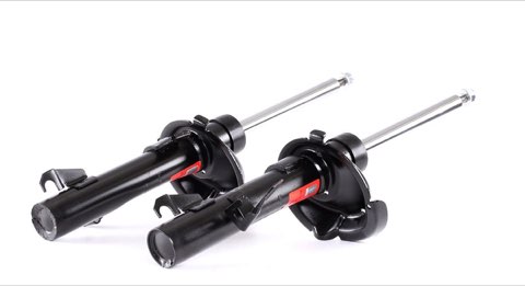 TRW JGM6289T Twin Shock Absorber