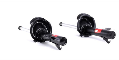 TRW JGM7745T Twin Shock Absorber