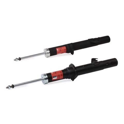 TRW JGS1001T Twin Shock Absorber, photo 3