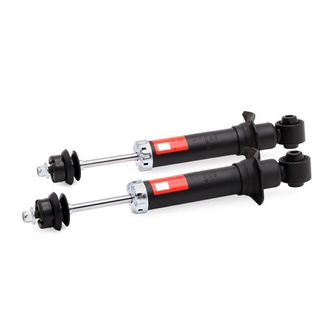 TRW JGS1016T Twin Shock Absorber, photo 2