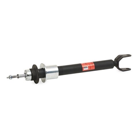 TRW JGS1072S Shock Absorber, photo 3