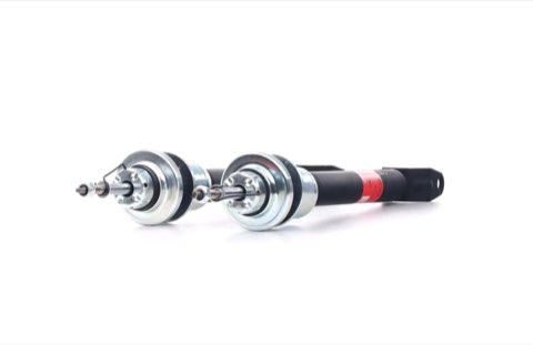 TRW JGS1074T Shock Absorber
