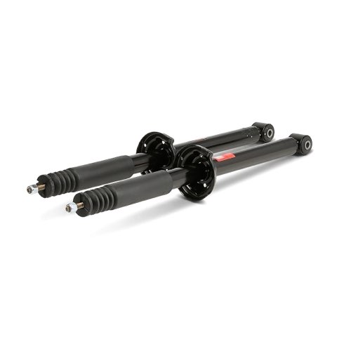 TRW JGS167T Twin Shock Absorber