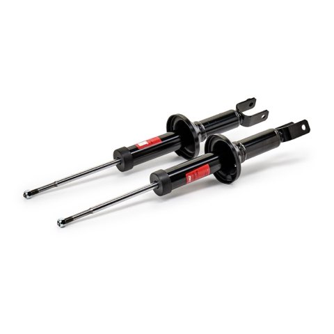 TRW JGS224T Twin Shock Absorber, photo 2