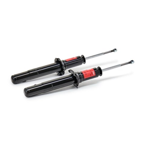 TRW JGS236T Twin Shock Absorber, photo 3