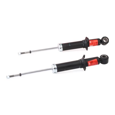 TRW JGS254T Twin Shock Absorber, photo 3