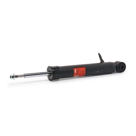TRW JGT1007SL Shock Absorber, photo 2