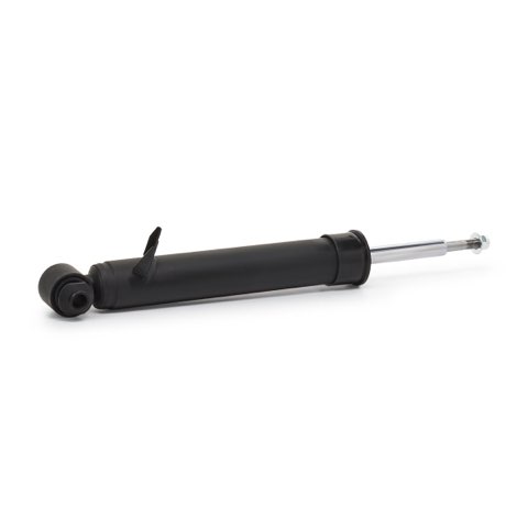 TRW JGT1007SL Shock Absorber, photo 3