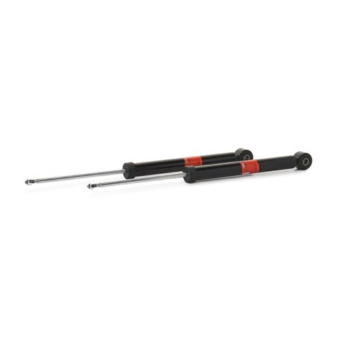 TRW JGT1014T Twin Shock Absorber, photo 2
