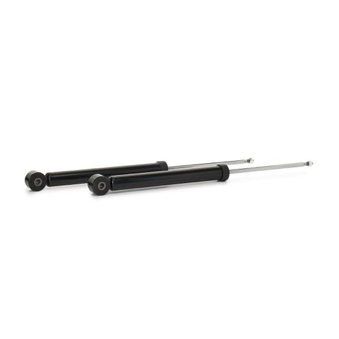 TRW JGT1014T Twin Shock Absorber, photo 3