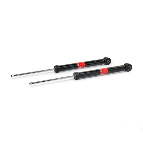 TRW JGT1016T Twin Shock Absorber, photo 2