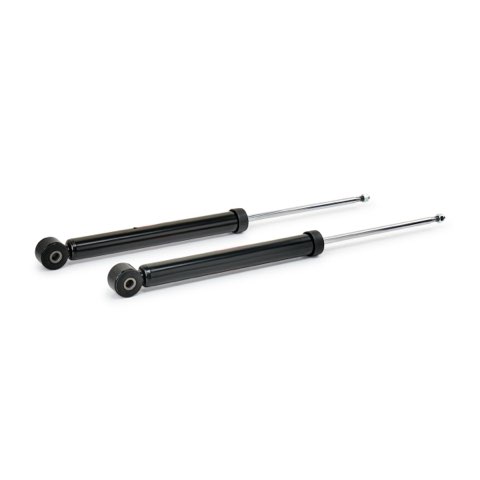 TRW JGT1016T Twin Shock Absorber, photo 3
