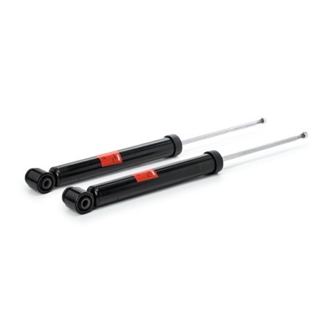 TRW JGT1058T Twin Shock Absorber, photo 3