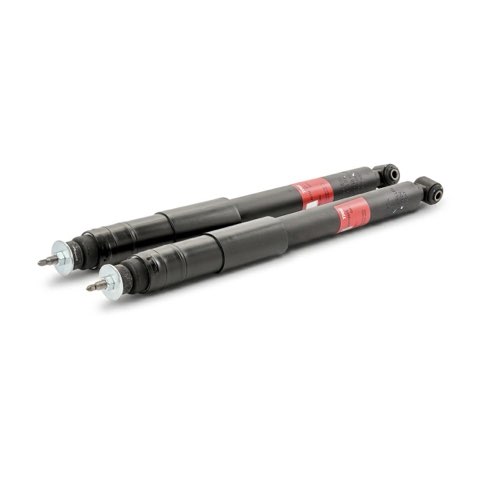 TRW JGT1062T Twin Shock Absorber, photo 2