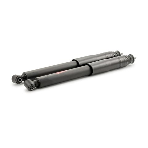 TRW JGT1062T Twin Shock Absorber, photo 3