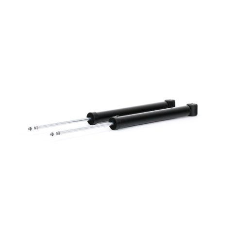 TRW JGT1078T Twin Shock Absorber