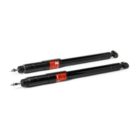 TRW JGT1086T Twin Shock Absorber, photo 2