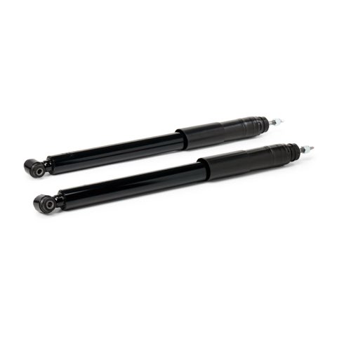 TRW JGT1086T Twin Shock Absorber, photo 3