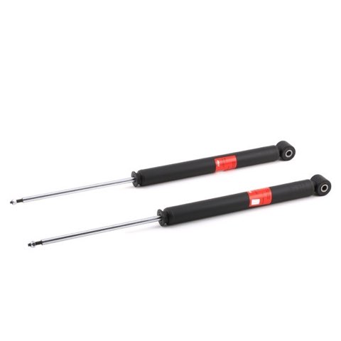 TRW JGT1106T Twin Shock Absorber, photo 2