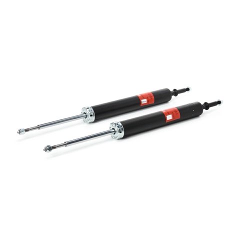 TRW JGT1108T Shock Absorber, photo 2
