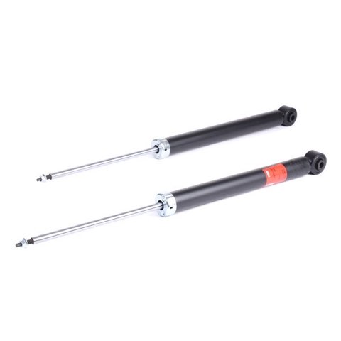 TRW JGT1110T Twin Shock Absorber, photo 3